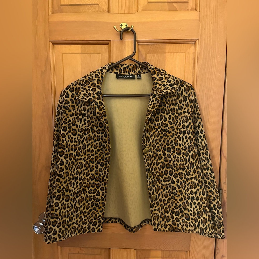Briggs New York Petite Collared Jacket